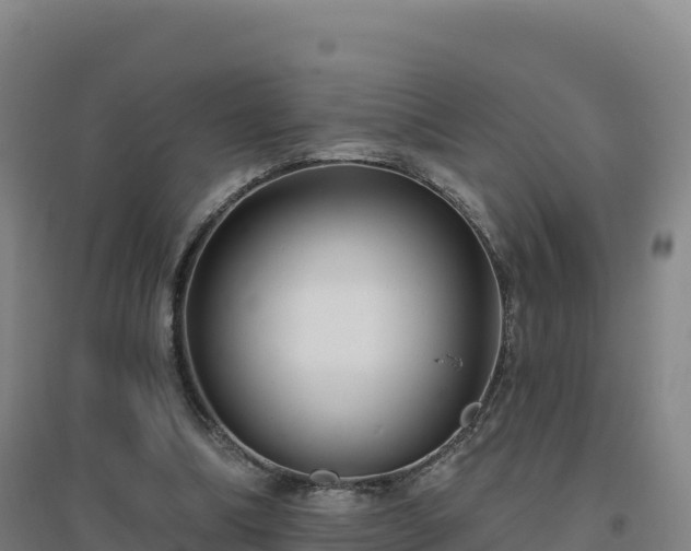 X0000096720298200802121254