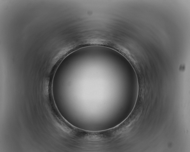 X0000096720299200802121254