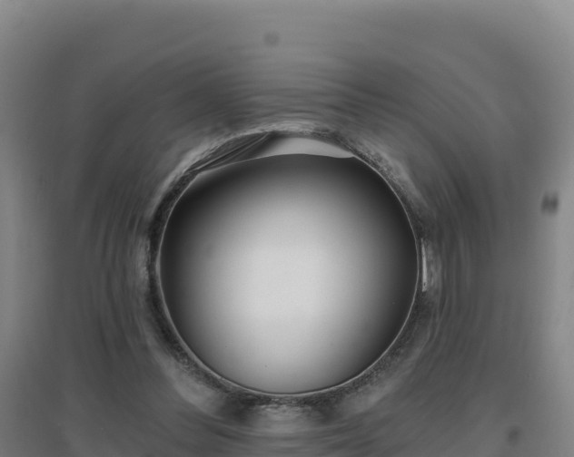 X0000096720300200802121254