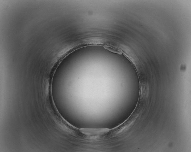 X0000096720301200802121254