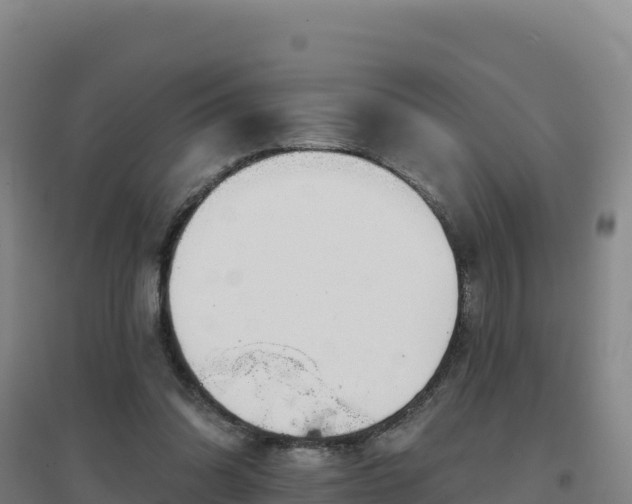 X0000096720302200802121254