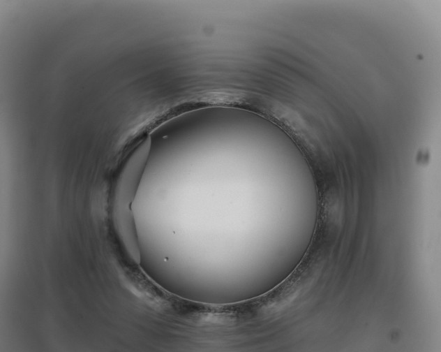 X0000096720303200802121254