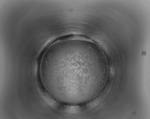 X0000096720304200802121254