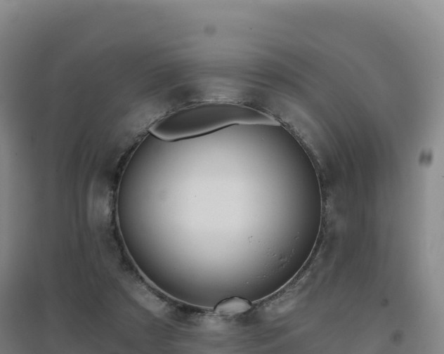 X0000096720305200802121254