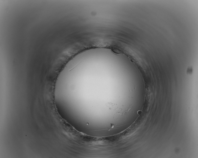 X0000096720307200802121254