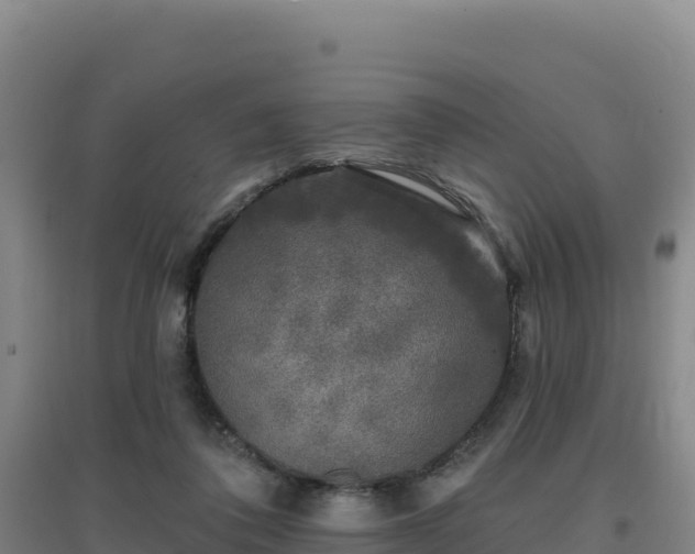 X0000096720308200802121254