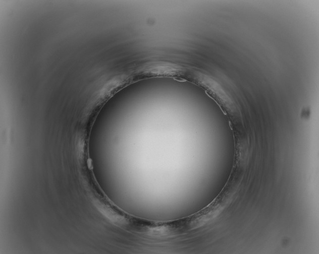 X0000096720309200802121254