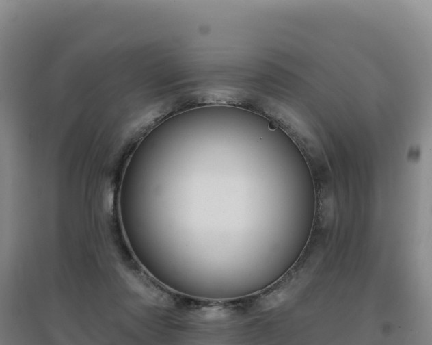 X0000096720310200802121254