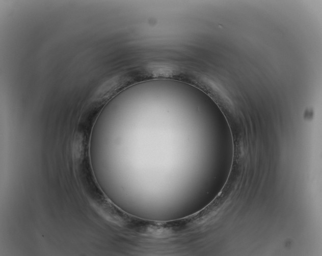 X0000096720311200802121254