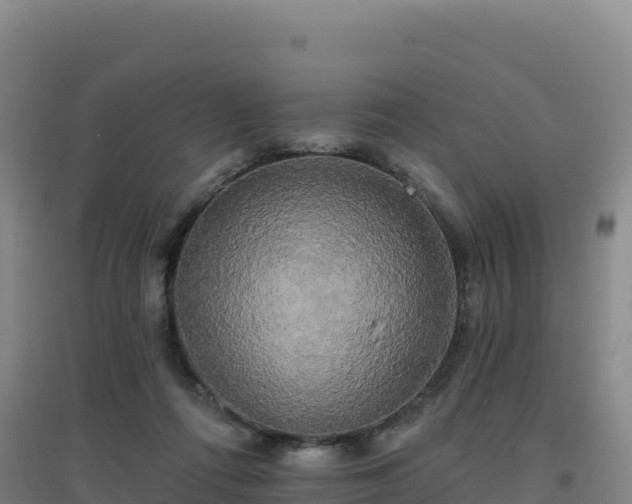 X0000096720312200802121254