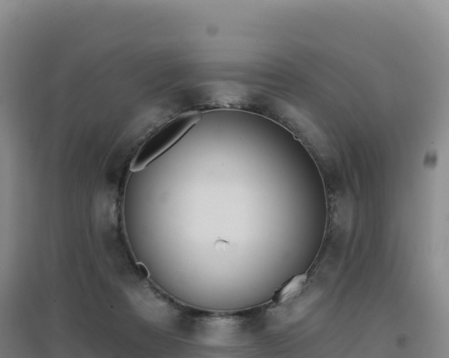 X0000096720313200802121254