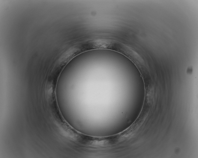 X0000096720314200802121254