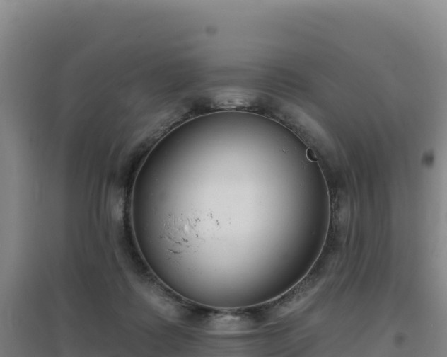 X0000096720315200802121254