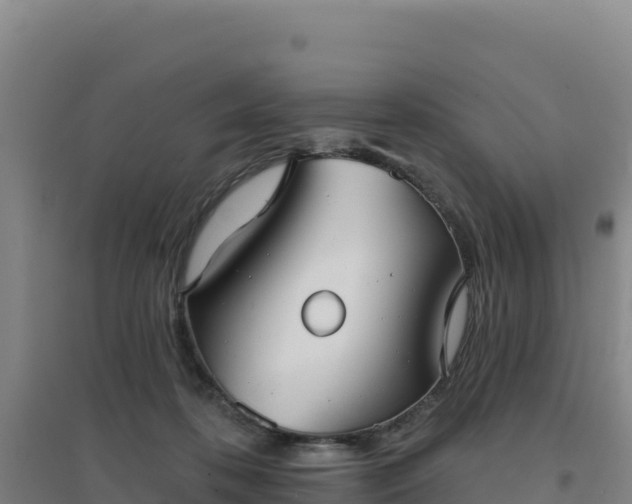 X0000096720316200802121254