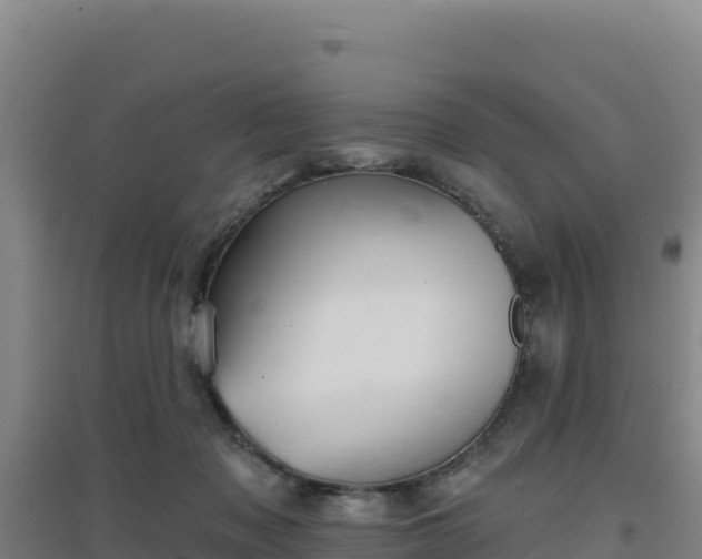 X0000096720317200802121254