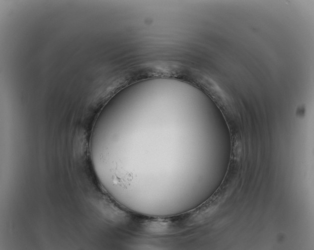 X0000096720318200802121254