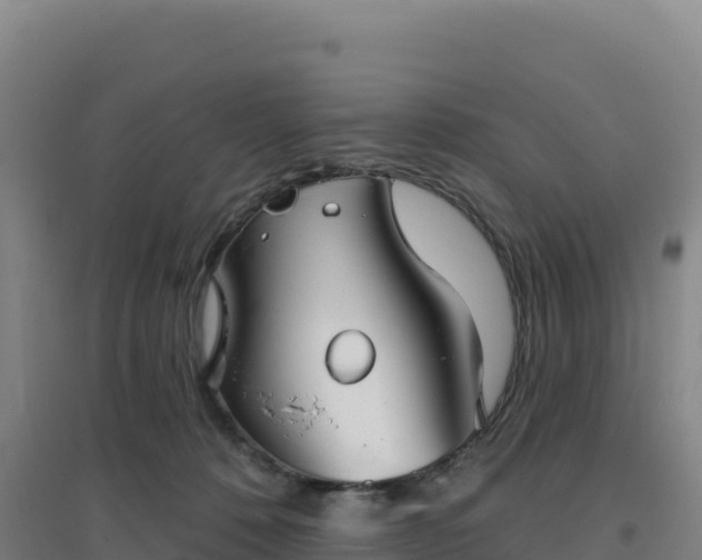 X0000096720320200802121254