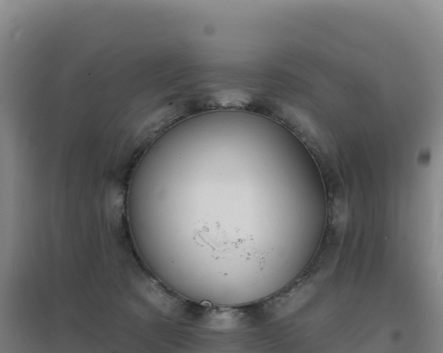 X0000096720321200802121254