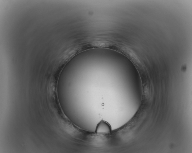 X0000096720322200802121254