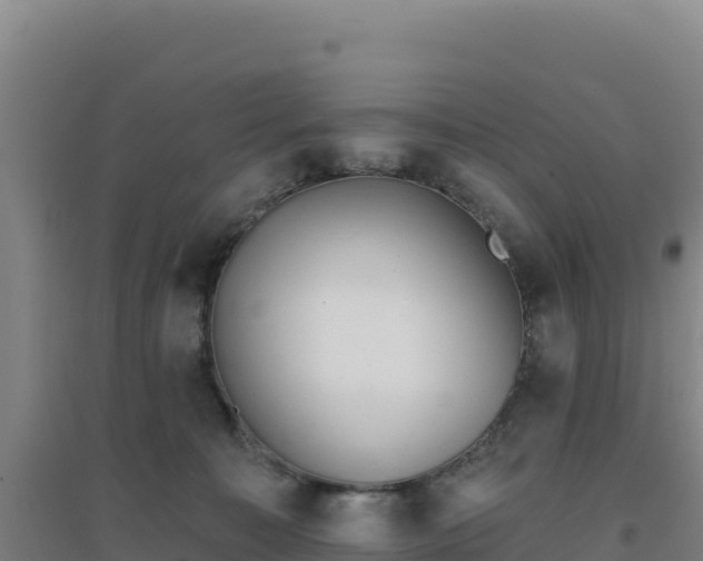 X0000096720323200802121254