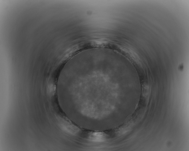 X0000096720324200802121254