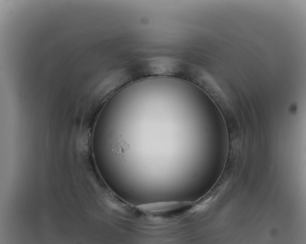 X0000096720325200802121254