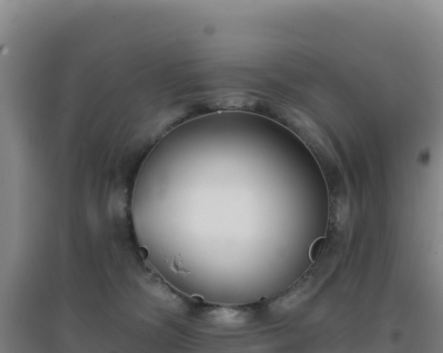 X0000096720326200802121254