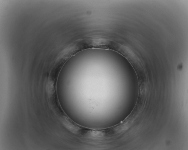 X0000096720327200802121254