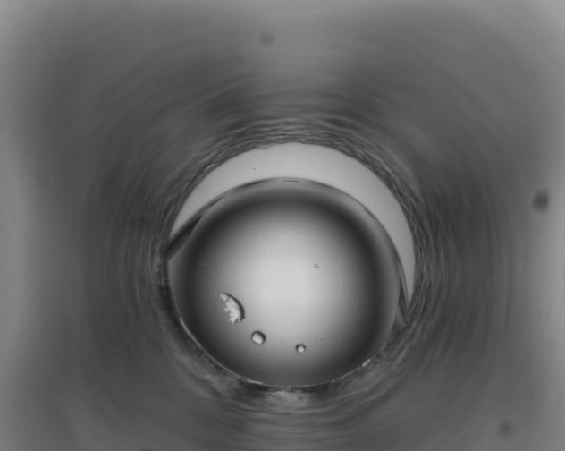 X0000096720328200802121254