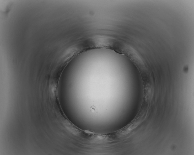 X0000096720329200802121254