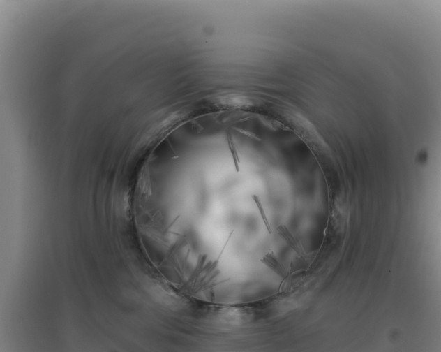 X0000096720330200802121254