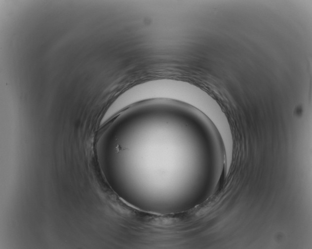 X0000096720332200802121254