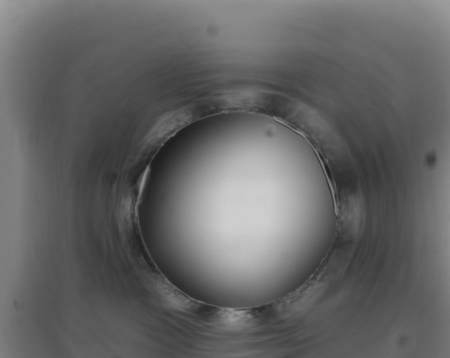 X0000096720333200802121254