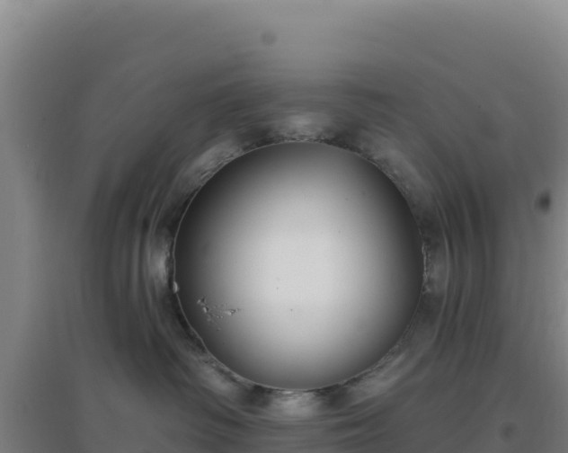 X0000096720334200802121254