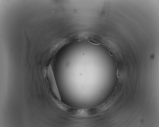 X0000096720335200802121254