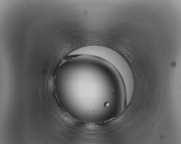 X0000096720336200802121254