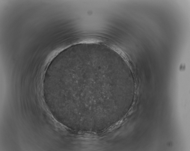 X0000096720337200802121253