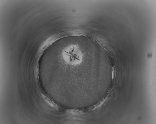 X0000096720339200802121253