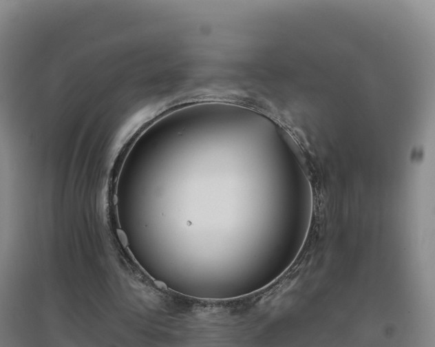 X0000096720340200802121253