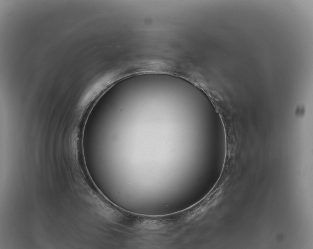 X0000096720341200802121253