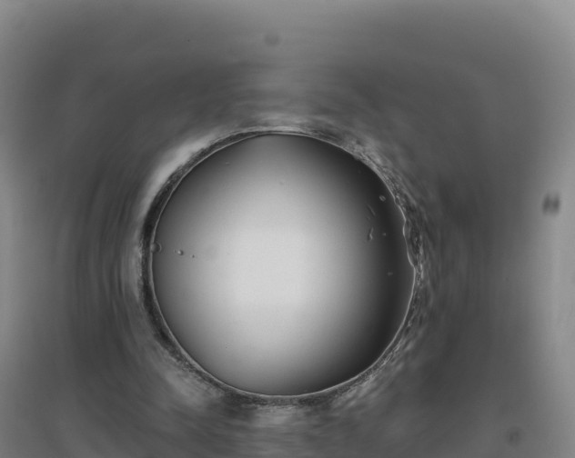 X0000096720342200802121253