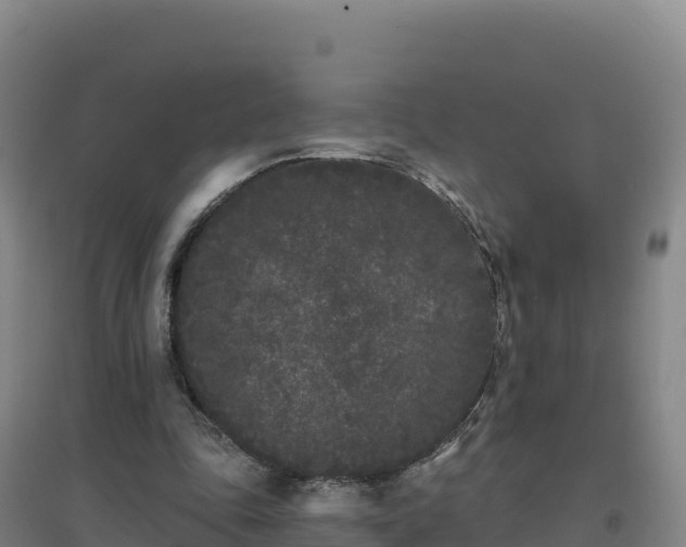 X0000096720343200802121253