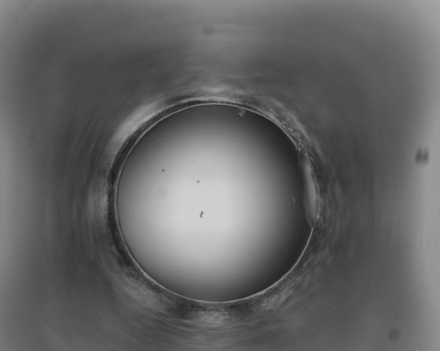 X0000096720344200802121253