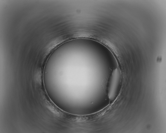 X0000096720345200802121253