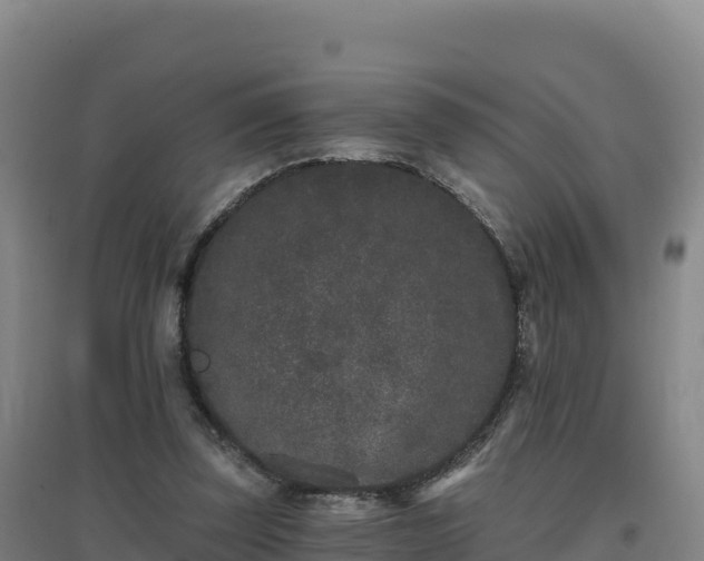 X0000096720347200802121253