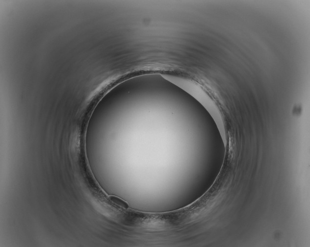 X0000096720348200802121253