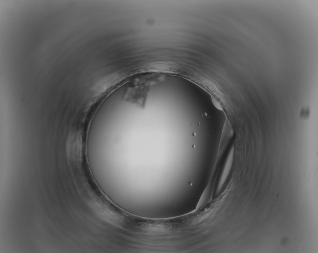 X0000096720349200802121253