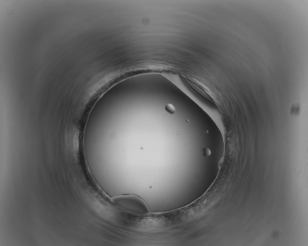 X0000096720350200802121253