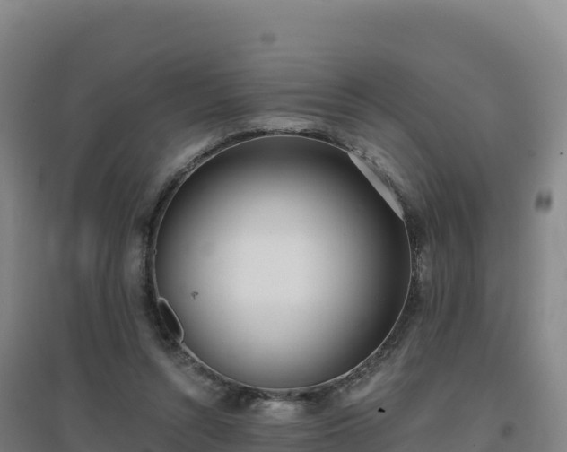 X0000096720352200802121253