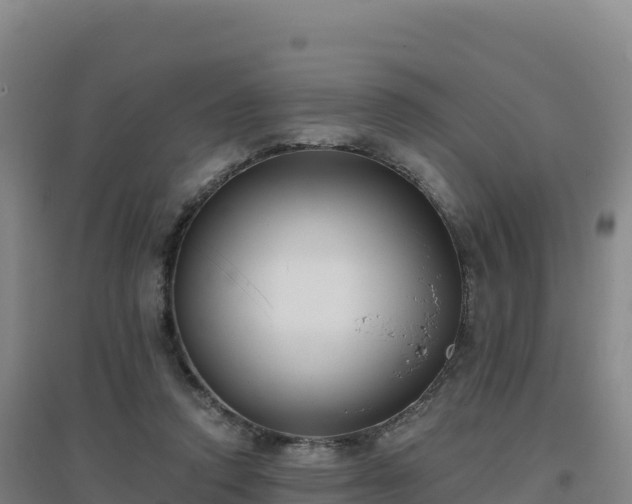 X0000096720354200802121253